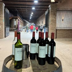 La bodega Cousiño Macul, ubicada a media hora del centro de Santiago de Chile, es un oasis centenario que también tiene actividades para chicos en un sector alcohol free.