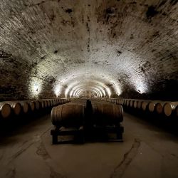 La bodega Cousiño Macul, ubicada a media hora del centro de Santiago de Chile, es un oasis centenario que también tiene actividades para chicos en un sector alcohol free.