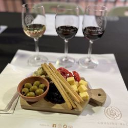 La bodega Cousiño Macul, ubicada a media hora del centro de Santiago de Chile, es un oasis centenario que también tiene actividades para chicos en un sector alcohol free.