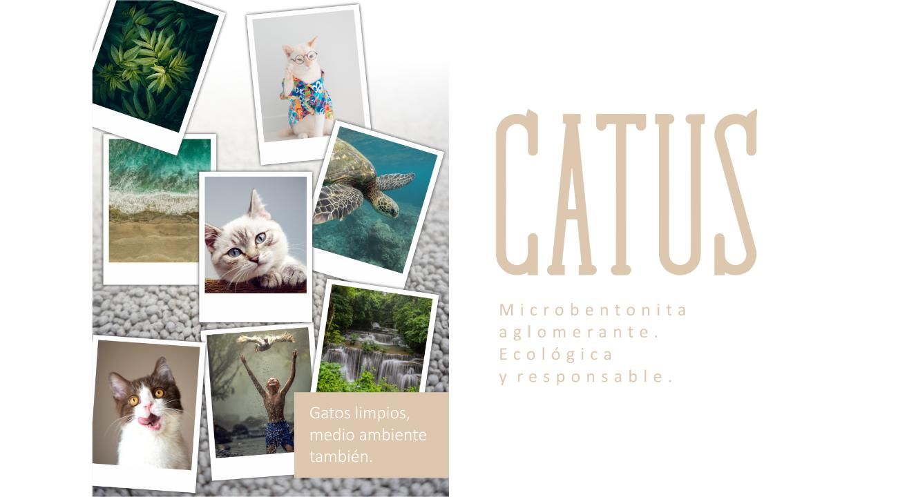 Catus: Innovación y Sostenibilidad en Productos para Mascotas