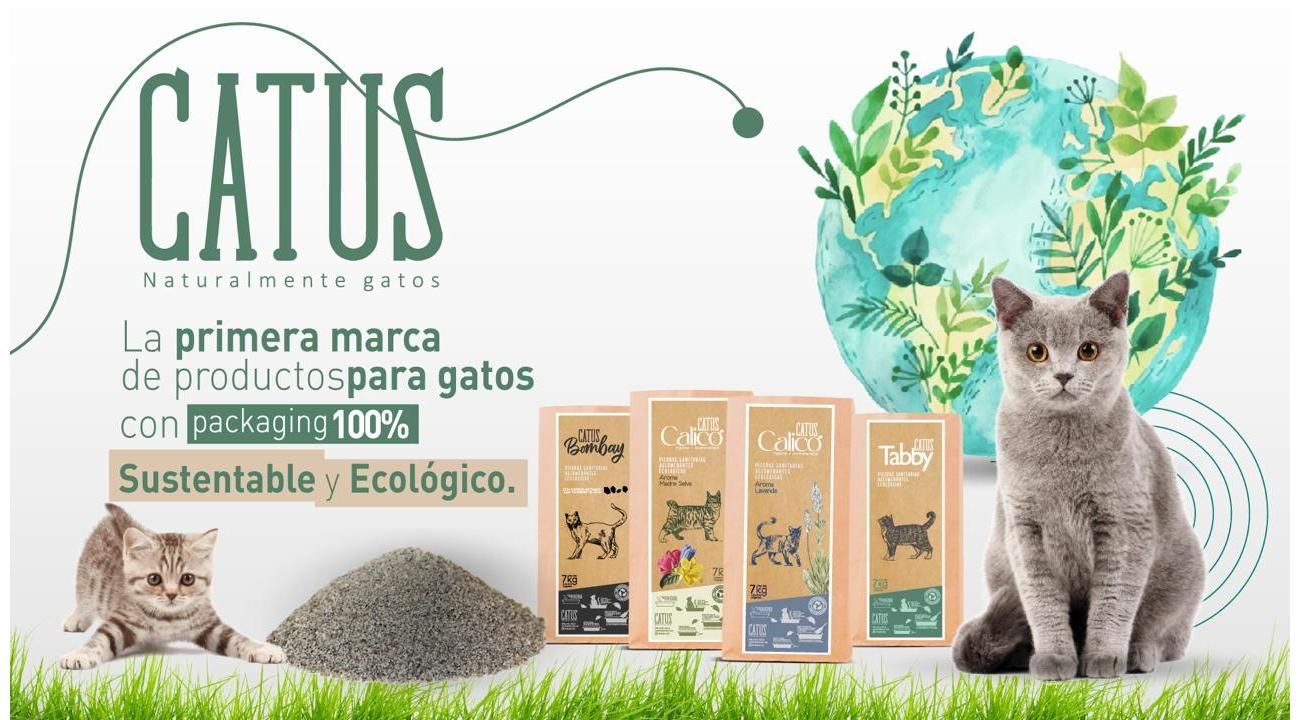 Catus: Innovación y Sostenibilidad en Productos para Mascotas