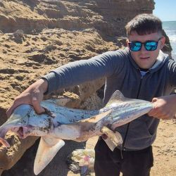 El pez elefante apareció y le dio a un pescador de la región la victoria y el cheque mayor. Fue una pieza de 3.350 kg, captura en caña del marplatense Santiago Costa.