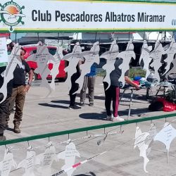 El pez elefante apareció y le dio a un pescador de la región la victoria y el cheque mayor. Fue una pieza de 3.350 kg, captura en caña del marplatense Santiago Costa.