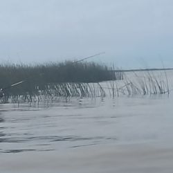 La marea y el viento son claves para un buen resultado. En la parada de agua se lograron los mejores resultados. 
