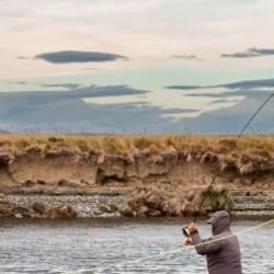 En la provincia, será la devolución obligatoria de las piezas en todos los ambientes de jurisdicción provincial a partir del 01 de marzo de 2025 y hasta el cierre de la temporada.