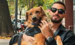 La conmovedora historia de adopción de Nico Occhiato con Carlitos, el perro que llegó al living de Susana Giménez