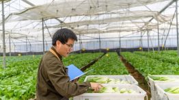 China se anticipa y lanzó un plan quinquenal de agricultura inteligente