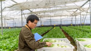 China se anticipa y lanzó un plan quinquenal de agricultura inteligente