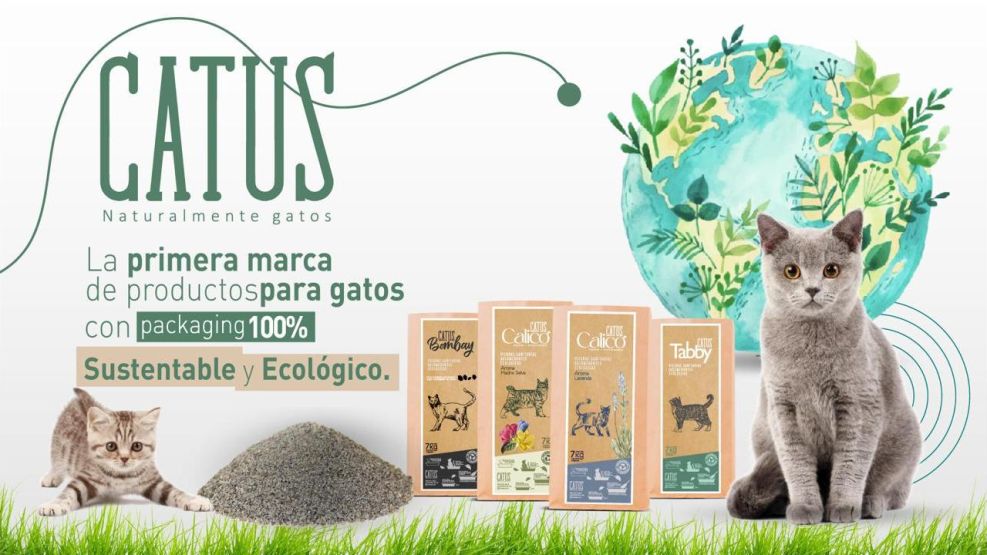 Catus: Innovación y Sostenibilidad en Productos para Mascotas