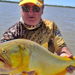Dorados y tarariras pican fuerte y ya está empezando a salir algo de surubí con carnada.