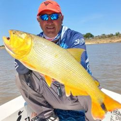 Dorados y tarariras pican fuerte y ya está empezando a salir algo de surubí con carnada.