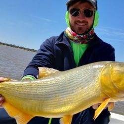 Dorados y tarariras pican fuerte y ya está empezando a salir algo de surubí con carnada.