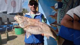 La pesca fue incesante, el concurso cambió de dueño en varias ocasiones y ya las piezas de menos de 3 kilos no sumaban para la ganchera.