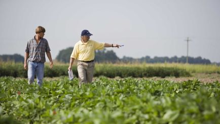 Productores agropecuarios