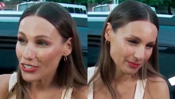 Pampita reveló por qué no hizo el "duelo" tras la escandalosa separación con Roberto García Moritán: "Estoy trabajando"