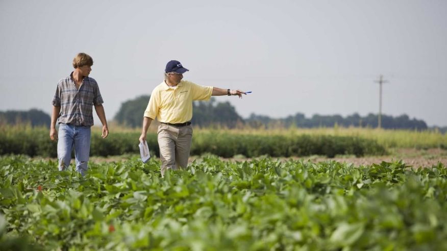 Productores agropecuarios