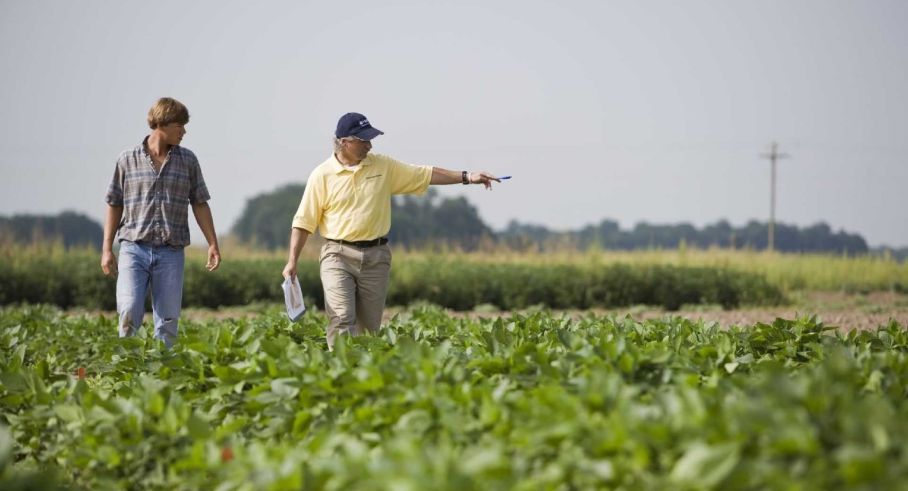 Productores agropecuarios