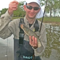 Desde hace casi dos décadas está vedada la pesca deportiva de la tararira en la provincia de Buenos Aires. La disposición Nº 177/07 es la que marca las restricciones y excepciones.