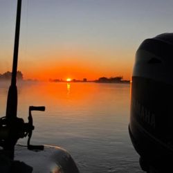 De día como de noche, Baradero pagó con dorados y buenos patíes. 