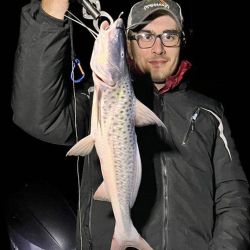 De día como de noche, Baradero pagó con dorados y buenos patíes. 