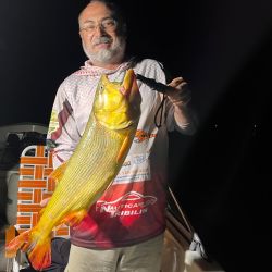 De día como de noche, Baradero pagó con dorados y buenos patíes. 