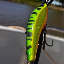 De día como de noche, Baradero pagó con dorados y buenos patíes. 