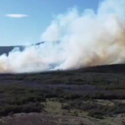 El fuego ya arrasó con más de 45 hectáreas en la zona de Río Pico.