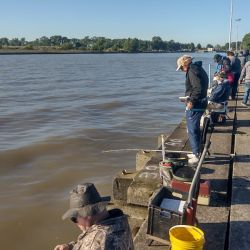 De la competencia participaron pescadores de entidades afiliadas de Berisso, Lobería, Olavarría, Tandil, Mar del Plata, Pinamar, Villa Gesell y Junín, entre otros.