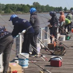 De la competencia participaron pescadores de entidades afiliadas de Berisso, Lobería, Olavarría, Tandil, Mar del Plata, Pinamar, Villa Gesell y Junín, entre otros.