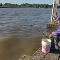 De la competencia participaron pescadores de entidades afiliadas de Berisso, Lobería, Olavarría, Tandil, Mar del Plata, Pinamar, Villa Gesell y Junín, entre otros.