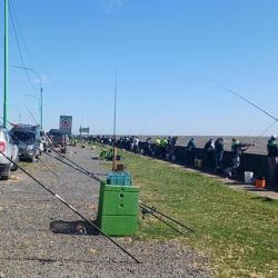 De la competencia participaron pescadores de entidades afiliadas de Berisso, Lobería, Olavarría, Tandil, Mar del Plata, Pinamar, Villa Gesell y Junín, entre otros.