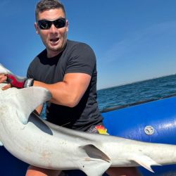 En estos momentos pican especies migratorias como corvinas y gatuzos, y hay una actividad paralela de pescadillas, peces elefantes y toda la variada costera de siempre, como pargos, congrios, burriquetas, rayas y brótolas. Además, alejándose y buscando agua clara hay buenas respuestas de palometas y anchoas de banco. 