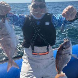 En estos momentos pican especies migratorias como corvinas y gatuzos, y hay una actividad paralela de pescadillas, peces elefantes y toda la variada costera de siempre, como pargos, congrios, burriquetas, rayas y brótolas. Además, alejándose y buscando agua clara hay buenas respuestas de palometas y anchoas de banco. 