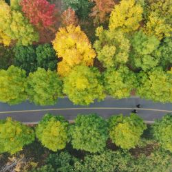 Vista aérea tomada con un dron de un paisaje otoñal de un parque del distrito de Wenxian, en la ciudad de Jiaozuo, en la provincia de Henan, en el centro de China. | Foto:Xinhua/Xu Hongxing