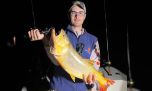 Dorados y patíes en la pesca nocturna de Baradero