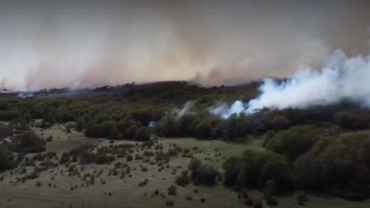 Incendios forestales: el fuego ya arrasó con más de 45 hectáreas en Chubut