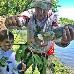Con carnada se logran capturas de dos especies ideales para tentar a los más chicos y meterlos en el ámbito de la pesca. 