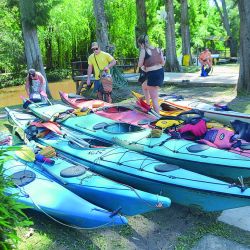 Izquierda: el arroyo Rama Negra tiene una senda donde se recorren bosques y se descubre el paisaje isleño. Arriba izq.: el maravilloso paisaje es legado de Carlos Thays. Arriba der.: conviene utilizar kayaks dobles o triples porque demandan menos esfuerzo. 