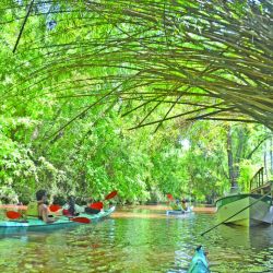 Izquierda: el arroyo Rama Negra tiene una senda donde se recorren bosques y se descubre el paisaje isleño. Arriba izq.: el maravilloso paisaje es legado de Carlos Thays. Arriba der.: conviene utilizar kayaks dobles o triples porque demandan menos esfuerzo. 