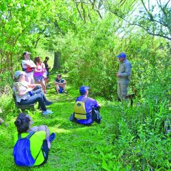 Izquierda: el arroyo Rama Negra tiene una senda donde se recorren bosques y se descubre el paisaje isleño. Arriba izq.: el maravilloso paisaje es legado de Carlos Thays. Arriba der.: conviene utilizar kayaks dobles o triples porque demandan menos esfuerzo. 