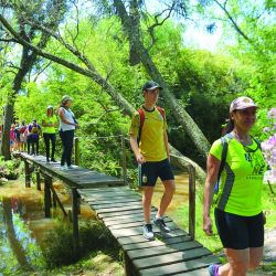 Izquierda: el arroyo Rama Negra tiene una senda donde se recorren bosques y se descubre el paisaje isleño. Arriba izq.: el maravilloso paisaje es legado de Carlos Thays. Arriba der.: conviene utilizar kayaks dobles o triples porque demandan menos esfuerzo. 