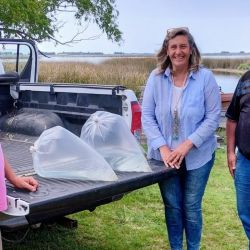 40.000 alevinos de pejerreyes fueron sembrados en las últimas horas en la laguna Kakel Huincul. 