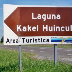 40.000 alevinos de pejerreyes fueron sembrados en las últimas horas en la laguna Kakel Huincul. 