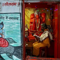 Un mono observa mientras un sacerdote lee un libro religioso hindú dentro de un templo del dios mono Hanuman, en vísperas del festival hindú de Diwali, en Ayodhya, India. | Foto:NIHARIKA KULKARNI / AFP
