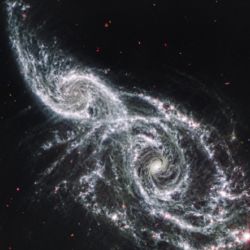 Esta imagen del telescopio espacial James Webb de la NASA en el infrarrojo medio muestra de modo sobresaliente dónde resplandece el polvo frío, resaltado en blanco, en estas dos galaxias, IC 2163 y NGC 2207