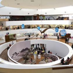 Los museos de Nueva Córdoba están ahora agrupados en un circuito denominado Nodo Cultural Lugones.