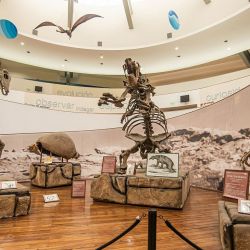 Los museos de Nueva Córdoba están ahora agrupados en un circuito denominado Nodo Cultural Lugones.