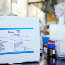 Kit Dengue