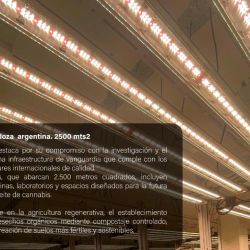 LCE Sidereal.  Nueva Tecnología LED para Cultivos y Horticultura: LCE Sidereal se Presenta en el Mercado Sudamericano | Foto:CEDOC