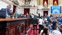 02112024_menem_diputados_hcdn_g